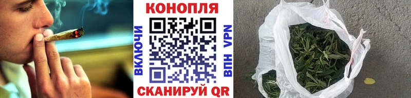 Каннабис семена  Санкт-Петербург 